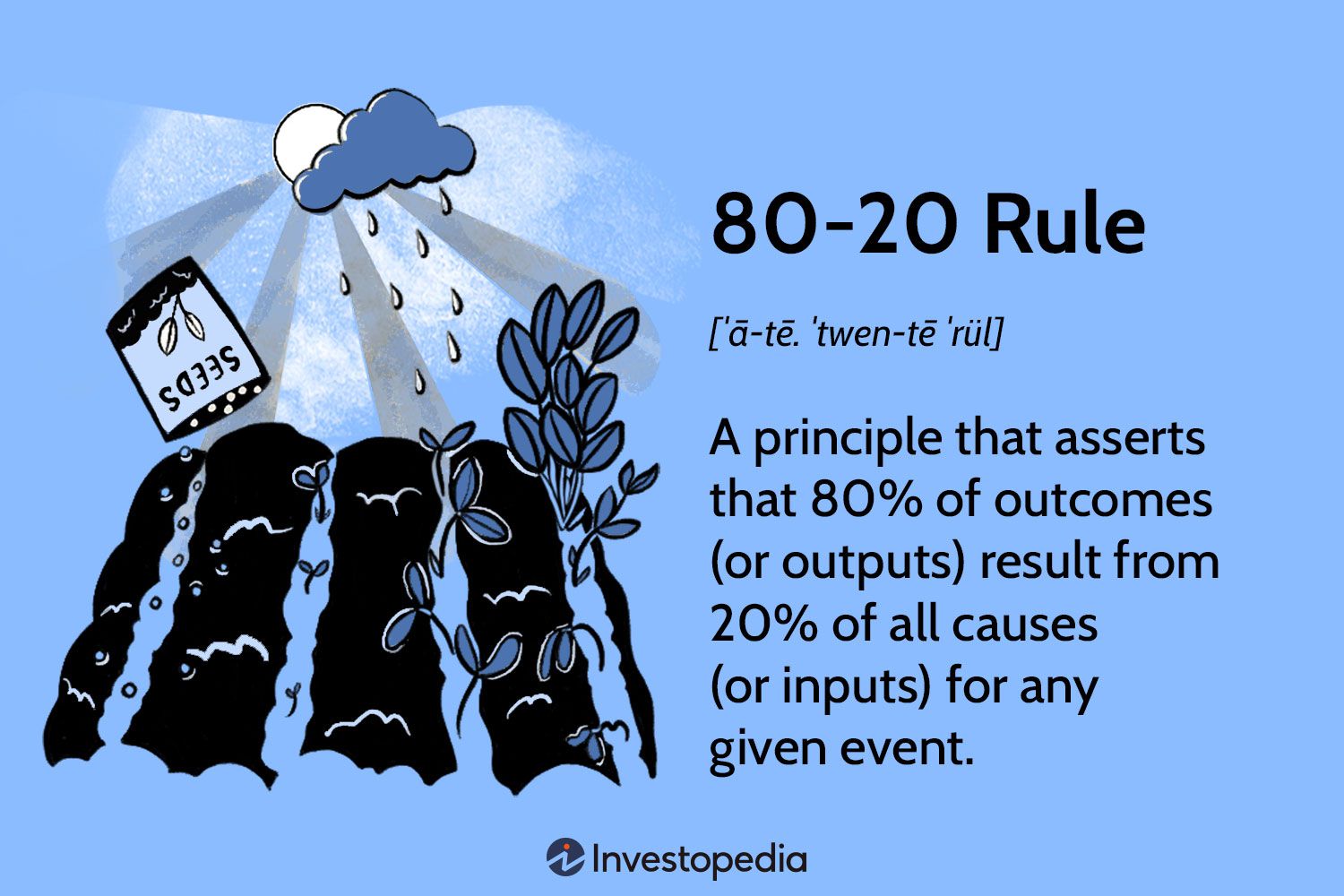 80 - 20 Rule