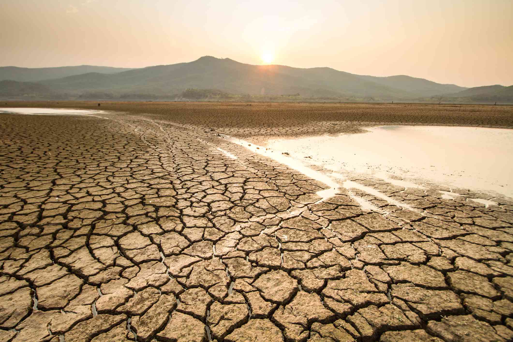 Drought and climate change impact